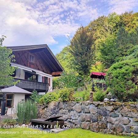 Ferienapartment Opitz - Zugspitzregion 올스타트 외부 사진